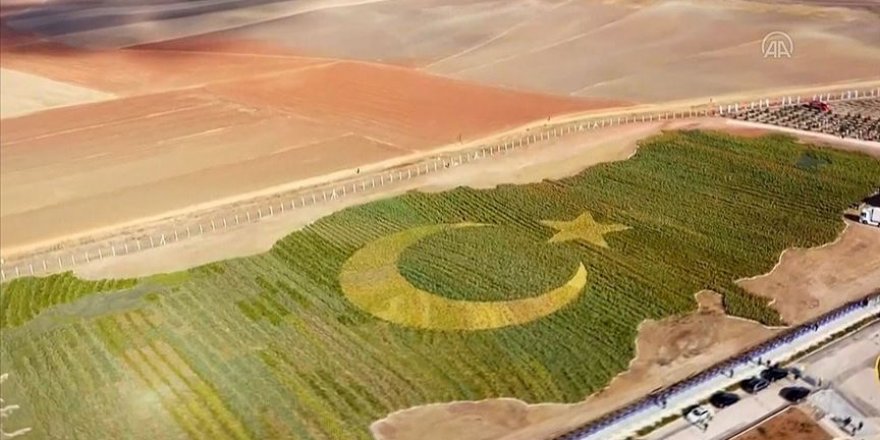 Rekorlar arasına giren bitkili Türkiye haritası uçaklardan da görülebilecek