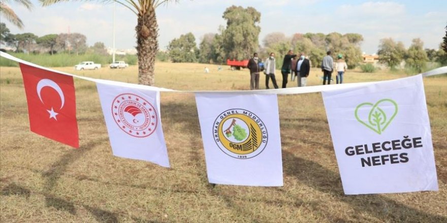 TİKA'dan 'Geleceğe Nefes, Dünyaya Nefes' kampanyası kapsamında 25 ülkeye ağaçlandırma desteği