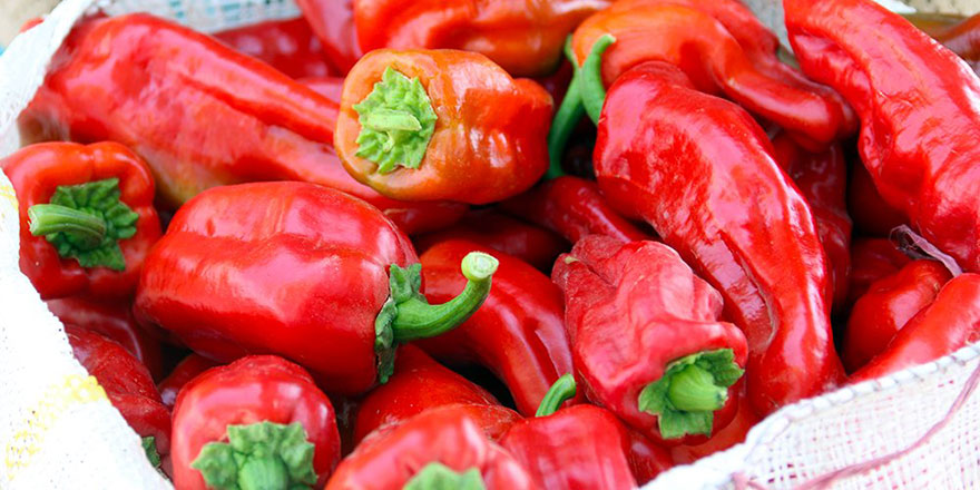 Acı biber sevenlere güzel bir haber
