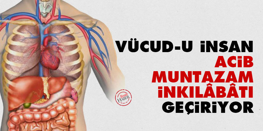 Bediüzzaman: Vücud-u insan acib, muntazam inkılâbâtı geçiriyor