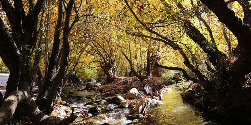 Antalya'da 'hazan' renklerinin güzelliği kartpostalı aratmıyor