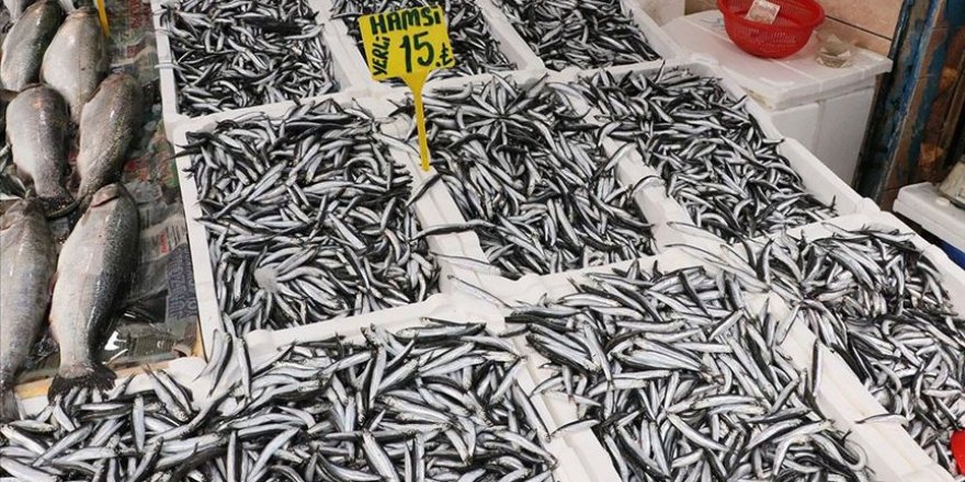 Hamsi tezgahların yeni gözdesi oldu