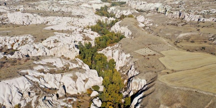 Kapadokya'nın gözbebeği Ürgüp'teki Gomeda Vadisi doğa tutkunlarını ağırlıyor