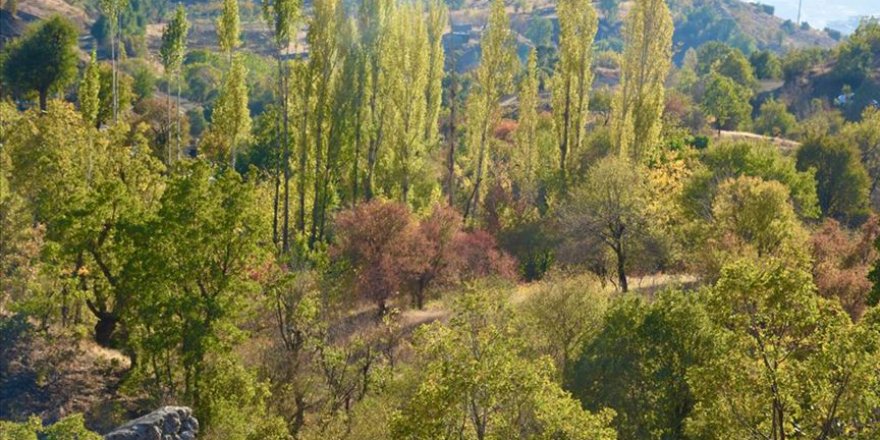 Huzura kavuşan Namazdağı bölgesinde sonbahar güzelliği