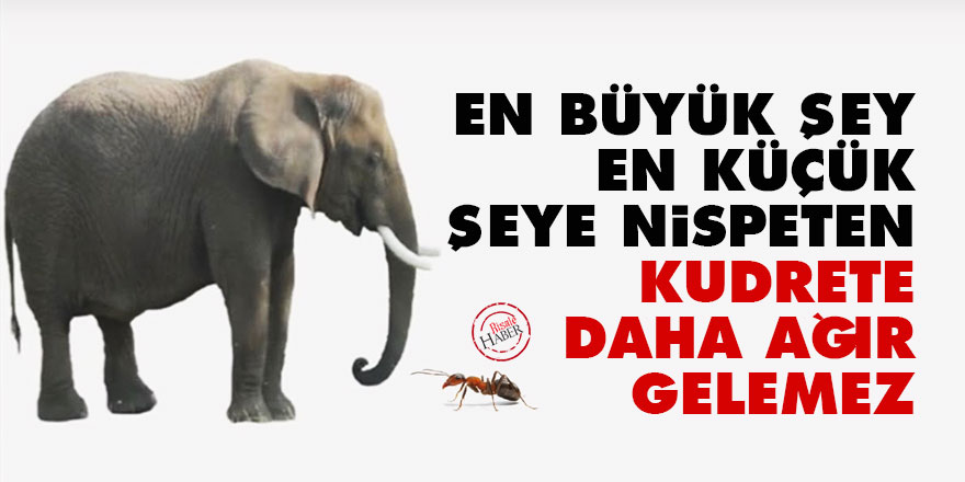 Bediüzzaman: En büyük şey, en küçük şeye nispeten kudrete daha ağır gelemez