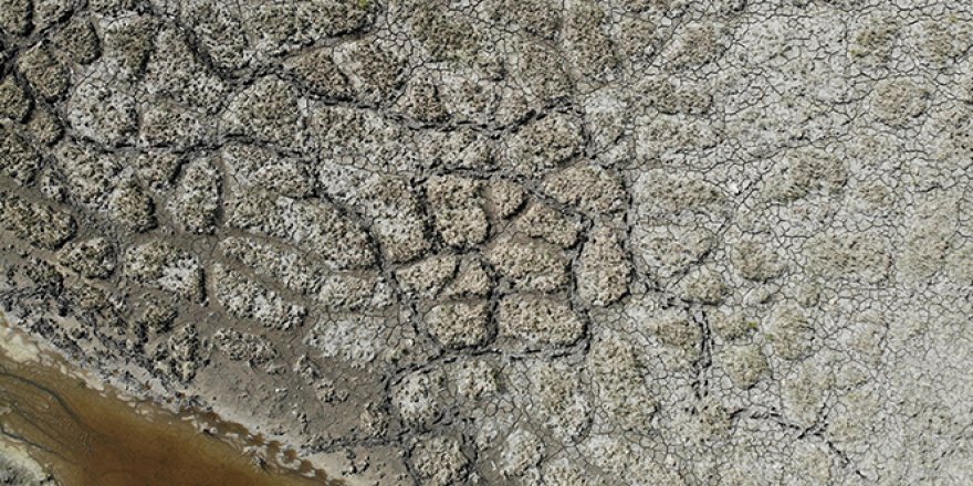 Kızılırmak Deltası alarm veriyor