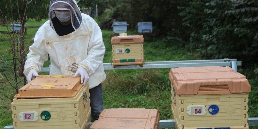 'Akıllı kovan'la hırsızlık ve ayı saldırıları önlenebilecek