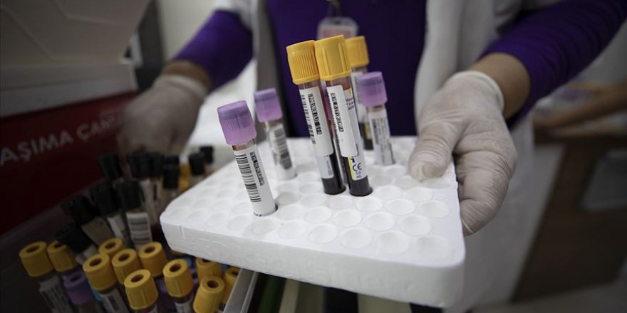 Bilim kurulu üyesi, kan grubunun Koronavirüsten koruyucu bir yanının olmadığını açıkladı