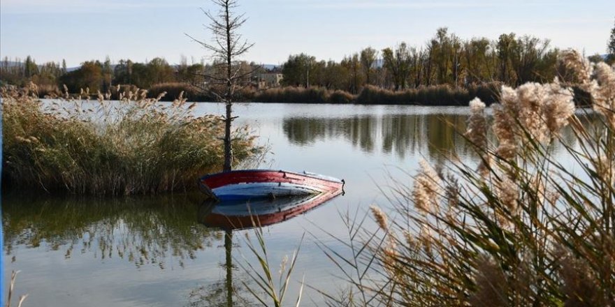 Bozkırın ortasındaki Ulaş Gölü'nde sonbahar güzelliği