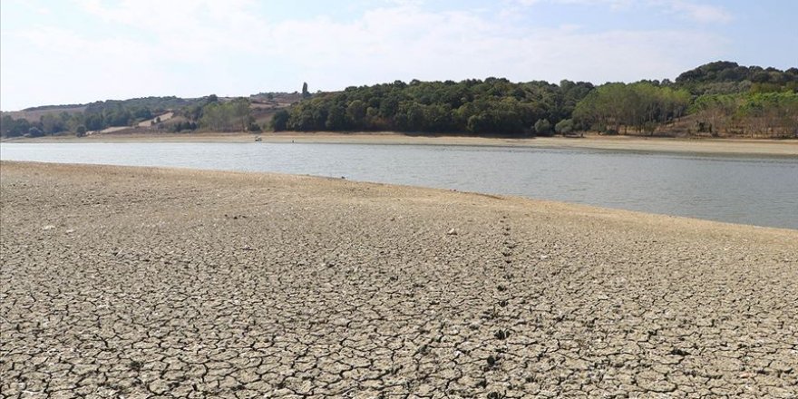 Türkiye'nin iklim değişikliğiyle mücadelesinde yol haritası 'İklim Şurası'yla oluşturulacak