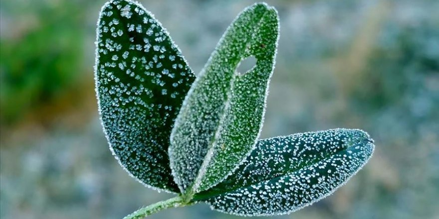 Marmara Bölgesi için don uyarısı