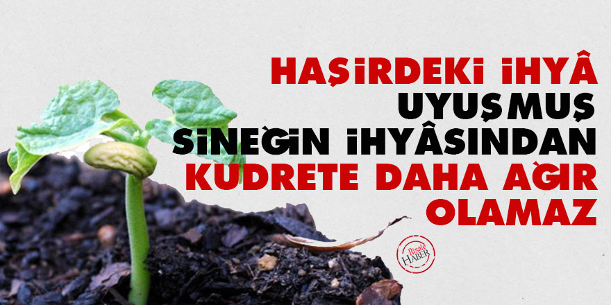 Bediüzzaman: Haşirdeki ihyâ, uyuşmuş sineğin ihyâsından kudrete daha ağır olamaz