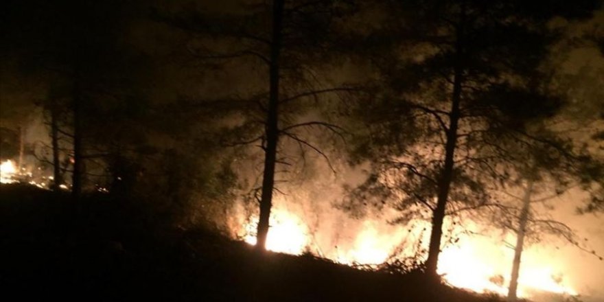 Hatay'da orman yangını çıktı