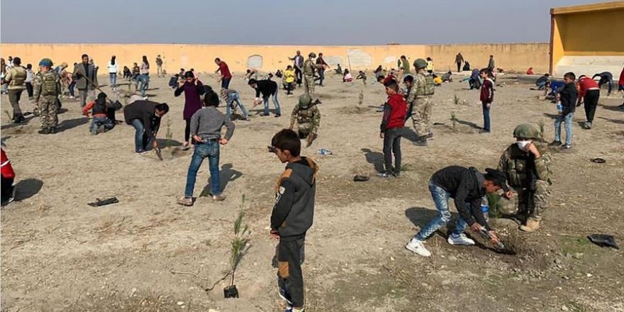 Mehmetçik Tel Abyad'a 740 fidan dikti