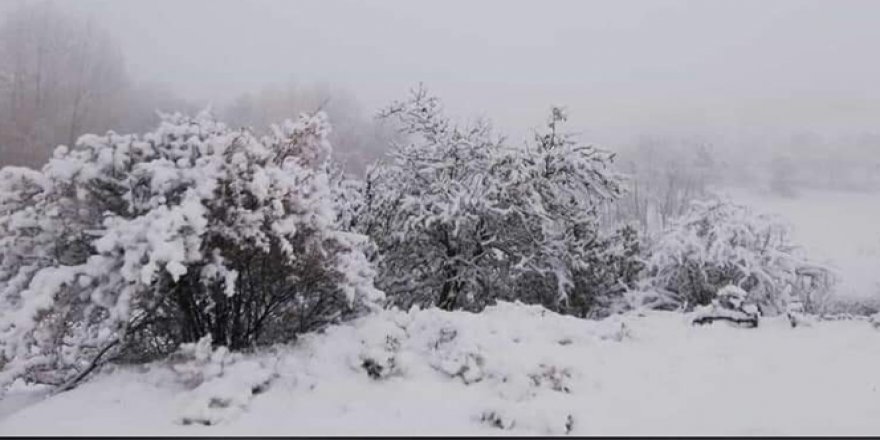 Şuhut'ta mevsiminin ilk karı yağdırıldı