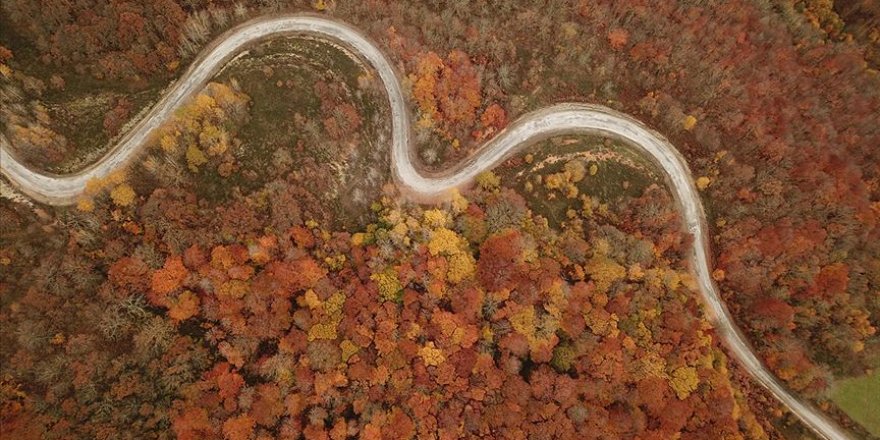 Istranca ormanlarında sonbaharın son demleri hayran bırakıyor