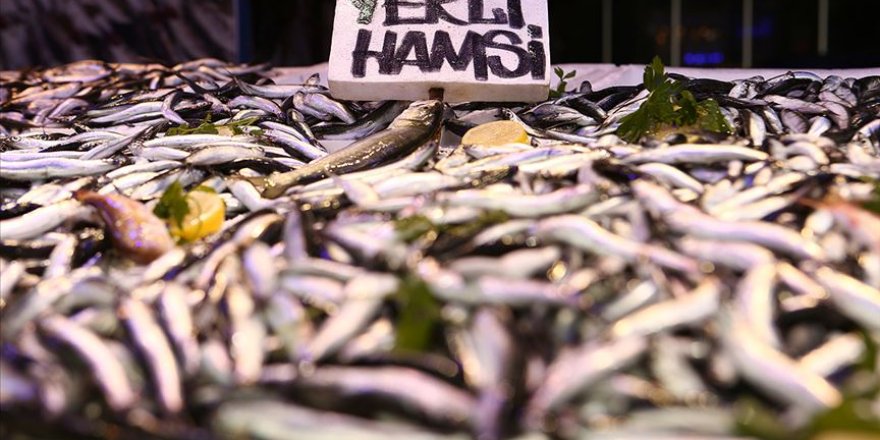 Hamsi ihracatı geçen yıl 9,7 milyon dolar kazandırdı