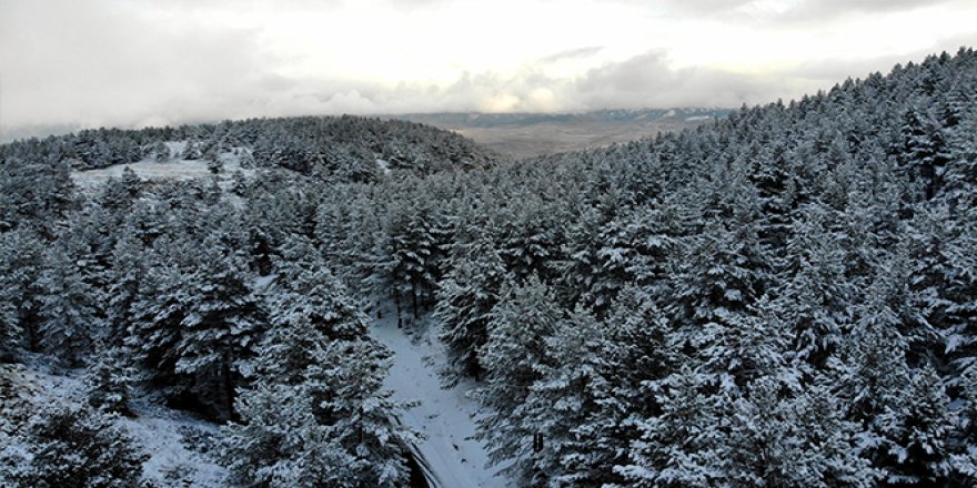 Beyaza bürünen Dumanlı Tabiat Parkı, görsel şölen oluşturdu