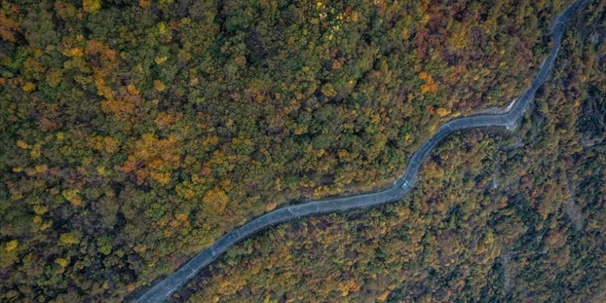 Uludağ'ın eteklerindeki 'Çalıkuşu'nun köyünde' sonbahar güzelliği