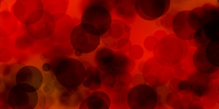 Hemofili üzerine Türkiye'de yapılan kapsamlı araştırmanın sonuçları açıklandı