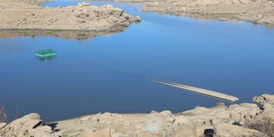 Edirne'de su alarmı!