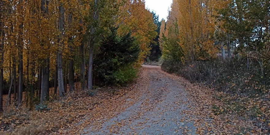 Ermenek'te sonbahar manzaraları hayran bıraktı