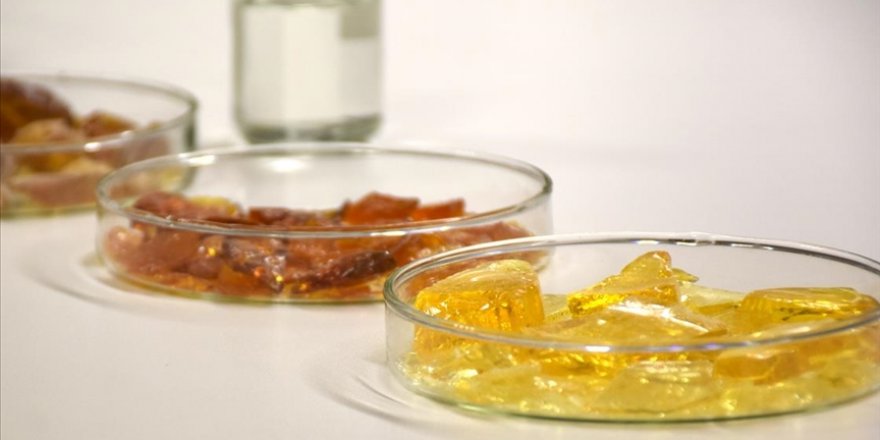 Reçinedeki 100 milyon dolarlık dışa bağımlığı azaltacak proje geliştirdiler