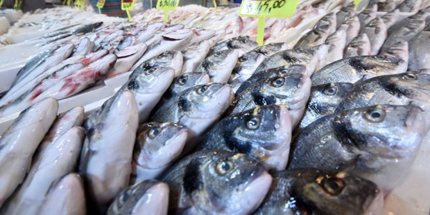 Türkiye'de balık tüketimi oldukça düşük