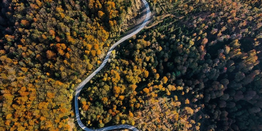 Çam Dağı güz renkleriyle görsel şölen sunuyor