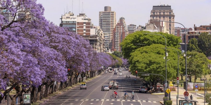 Buenos Aires sokakları ilkbaharda Jakaranda ağaçlarının renklerine bürünüyor