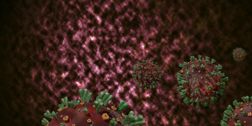 Wuhan'la ilgili ortalığı karıştıracak bilimsel araştırmanın sonuçları açıklandı