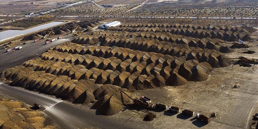 Tarladan sofralara 'tatlı' yolculuk