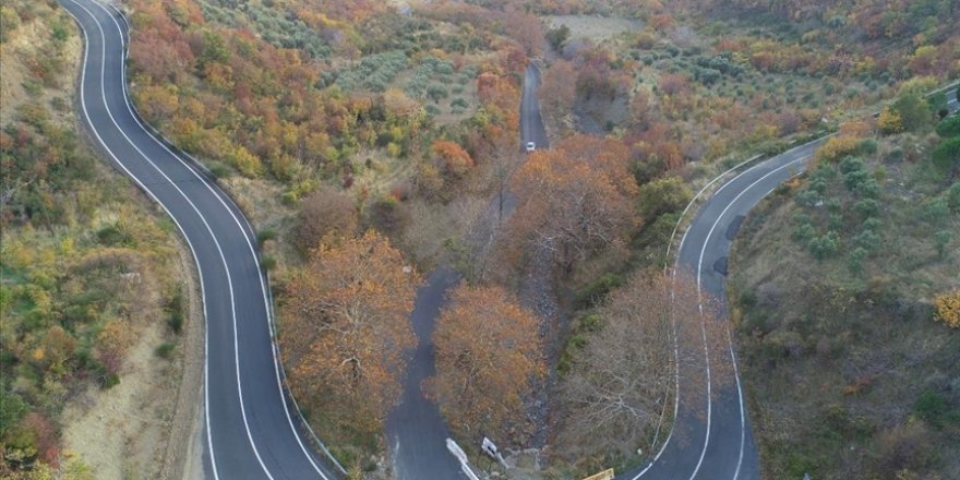 Ganos Ormanı sonbahara renk cümbüşü ile veda ediyor