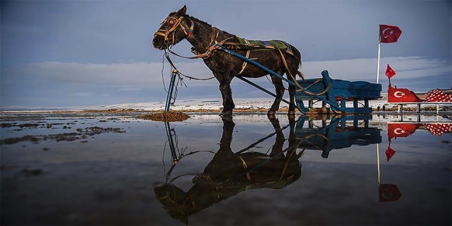 Çıldır Gölü'nde masalsı atlı kızak gezintileri başladı