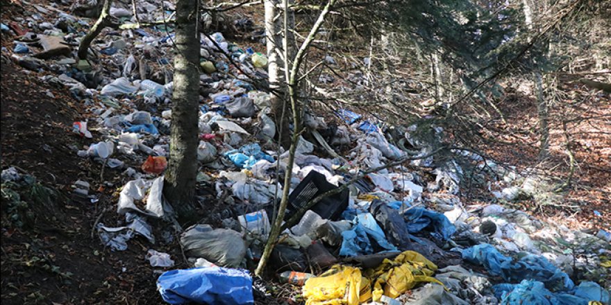 Bolu'da ormanlara atılan çöpler doğal hayatı tehdit ediyor