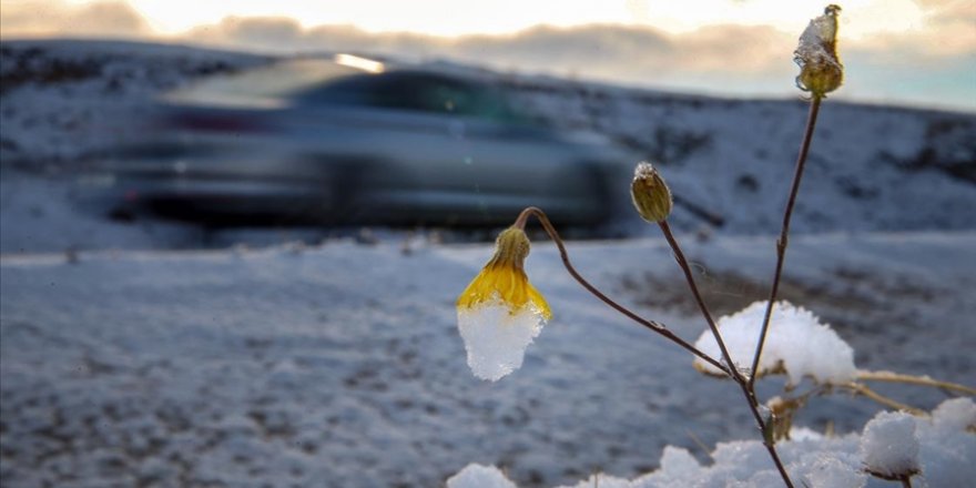 Doğu Anadolu'da kar yağışı etkisini sürdürecek