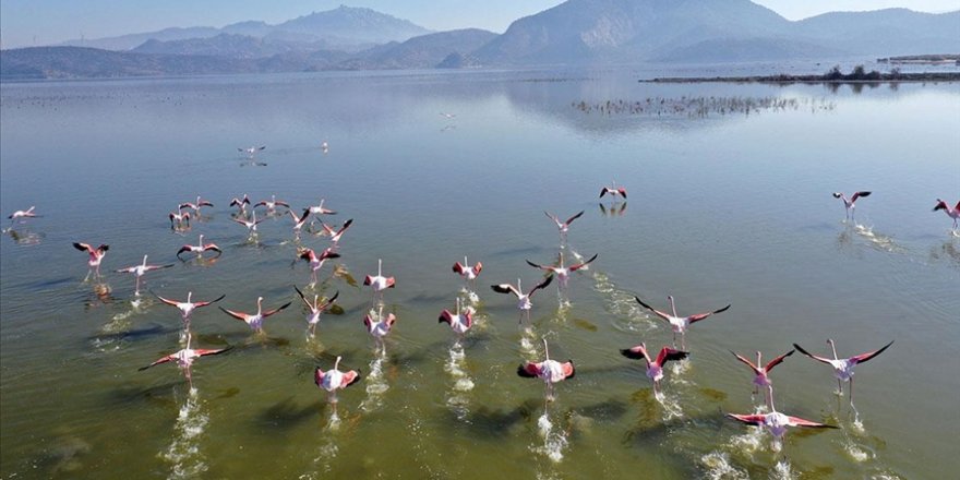 Kuş cenneti Bafa Gölü doğa tutkunlarını cezbediyor