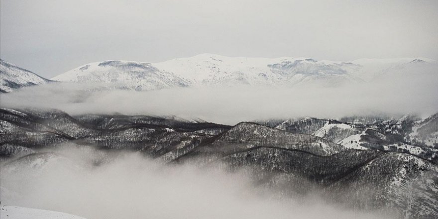 Munzur Vadisi Milli Parkı'nda oluşan sis kartpostallık manzaralar oluşturdu