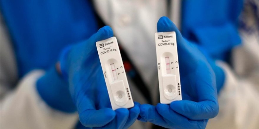 Avusturya’da yaygın Kovid-19 testlerine başlandı