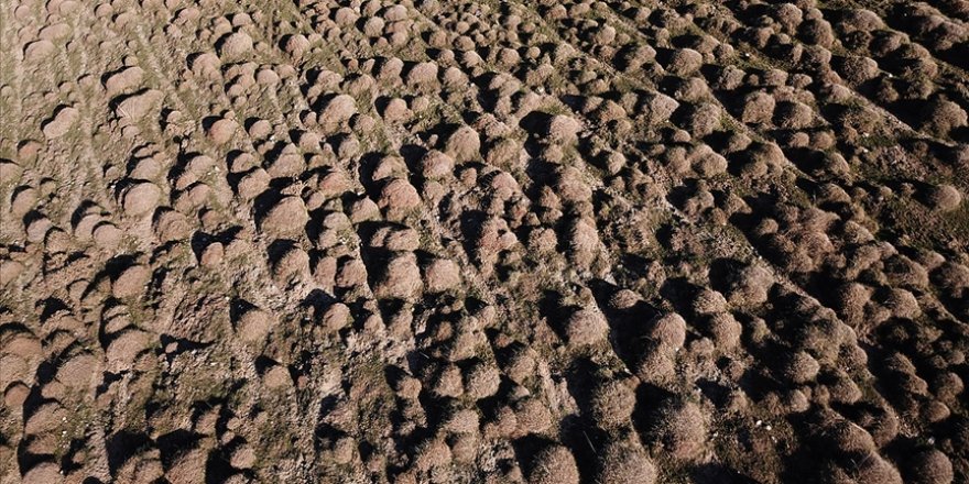 Türkiye her yıl 1 milimetre kalınlığında toprağını kaybediyor