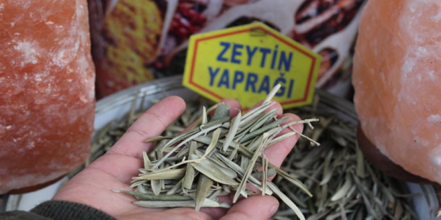 Korona virüs için umut oldu