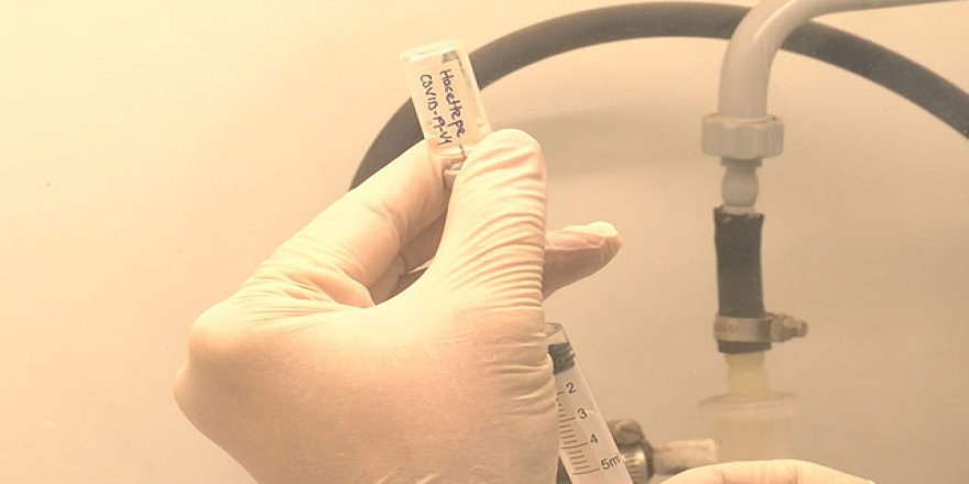 Hacettepe'nin yerli aşısında çalışmalar başarıyla sürüyor