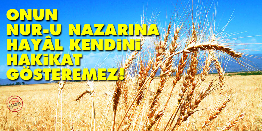 Bediüzzaman: Onun nur-u nazarına hayâl kendini hakikat gösteremez!