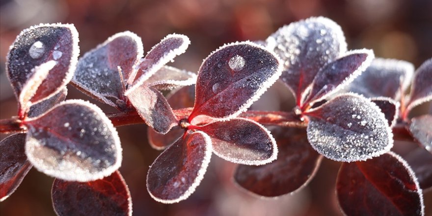 Meteoroloji'den 'buzlanma ve don' uyarısı