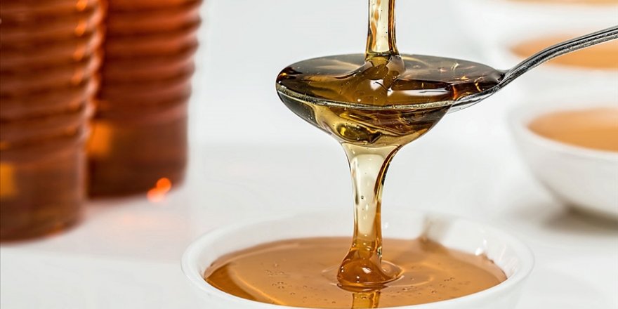 Türkiye'den 2021'in iki ayında 27 ülkeye 4,1 milyon dolarlık bal satıldı