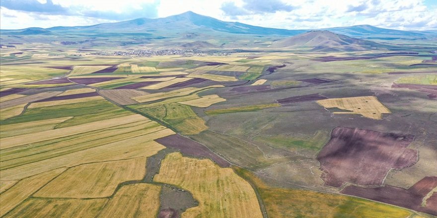 Türkiye'de bu yıl 541 bin hektar alanda arazi toplulaştırması tamamlanacak