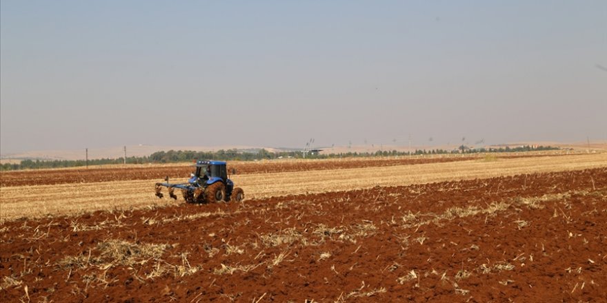 Bazı çiftçiler kuraklık nedeniyle yazlık ekim yapacak