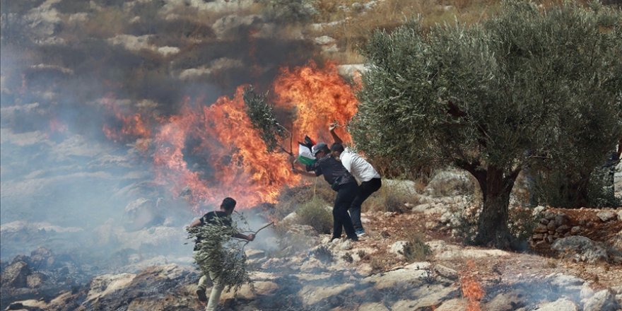 BM insan hakları uzmanlarından 'Yahudi yerleşimcilerin Filistinli sivillere yönelik şiddeti artıyor' uyarısı