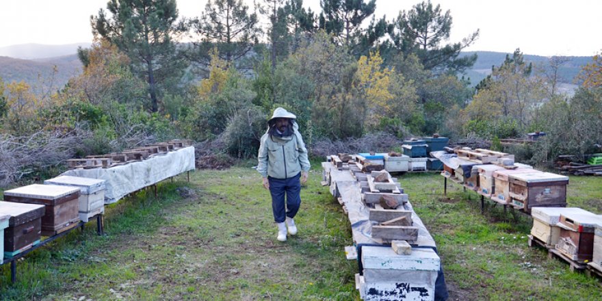 Üniversite mezunu gemi kaptanı, 10 yıldır arıcılık yapıyor