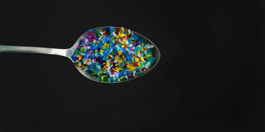 Yaşayan robotlar mikroplastik kirliliği ile savaşacak